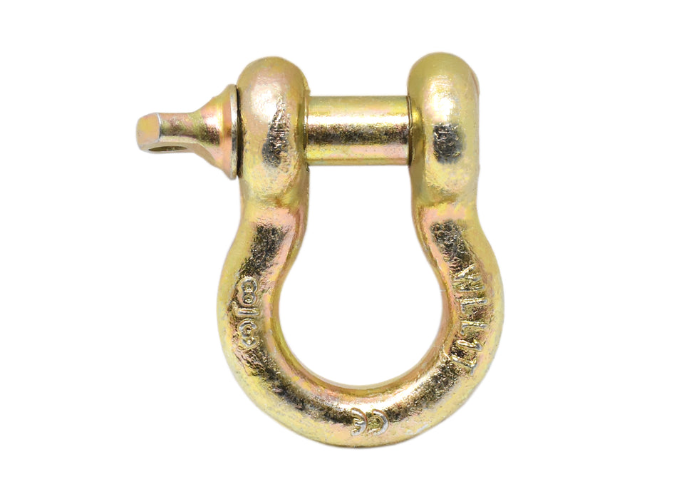 1 1/4" Anchor shackle WLL:12T GR 70 Gold Polish