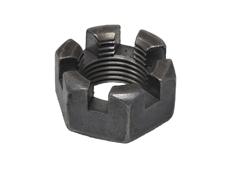 NUMCHT-3$4(1).jpg