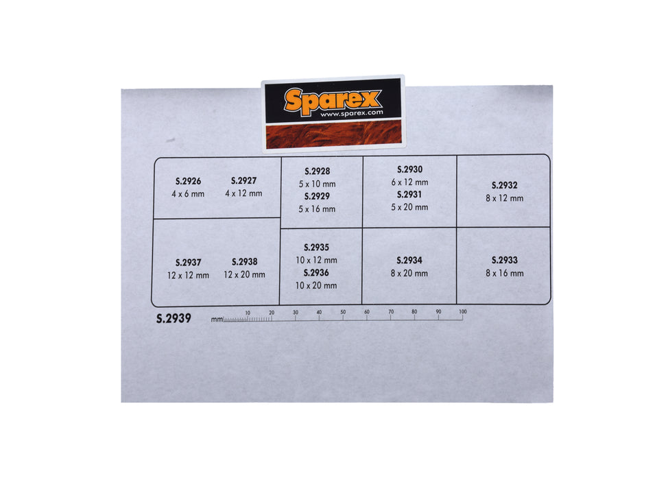 S2939(2).jpg